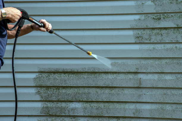 Best Affordable Pressure Washing  in Fennville, MI
